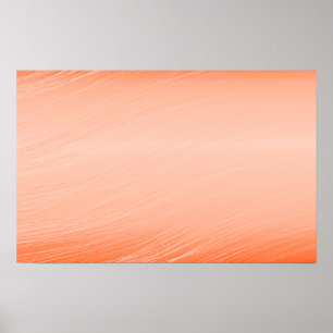 FASHION STYLE  background the background desktop w Poster