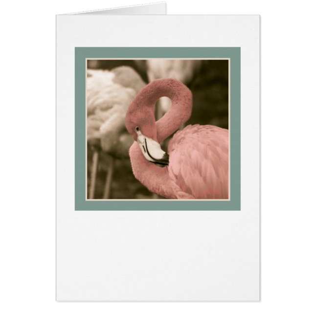 Fashionable Flamingo (Front)