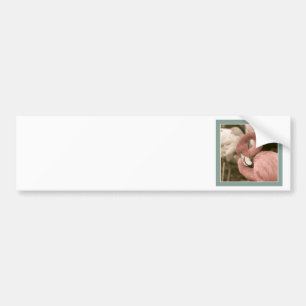 Fashionable Flamingo Bumper Sticker
