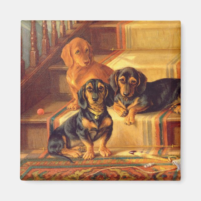 Fashionable Refinities Magnet (Front)