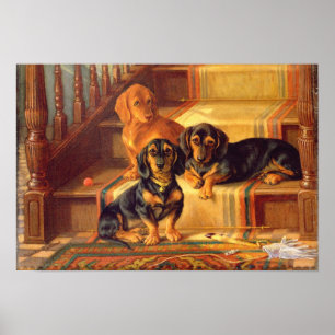 Fashionable Refinities Poster