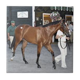 Fasig Tipton Select Sales at Saratoga Ceramic Tile