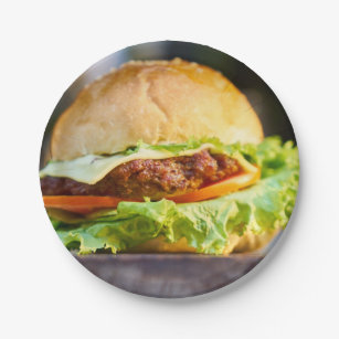 Fast food hamburger photo in colour  paper plate