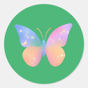 Faszinierende Schmetterlin - Regenbogen Natur Classic Round Sticker