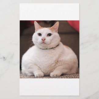 Fat Cat