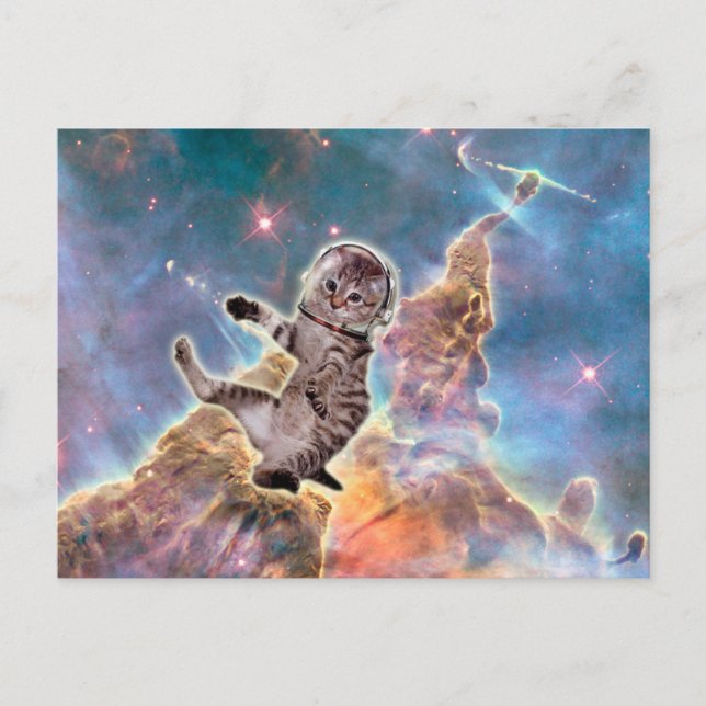 Fat cat astronaut postcard (Front)