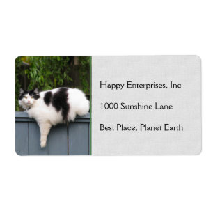 Fat Cat On Fence
