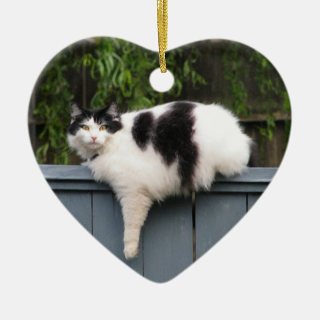 Fat Cat On Fence Ceramic Tree Decoration (Front)