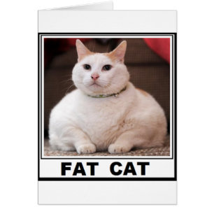 FAT CAT SMILE