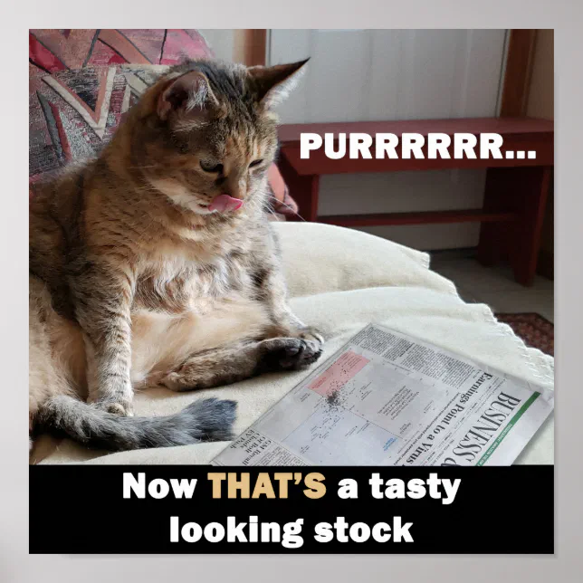 Fat Cat Tasty Stock Meme Poster Zazzle