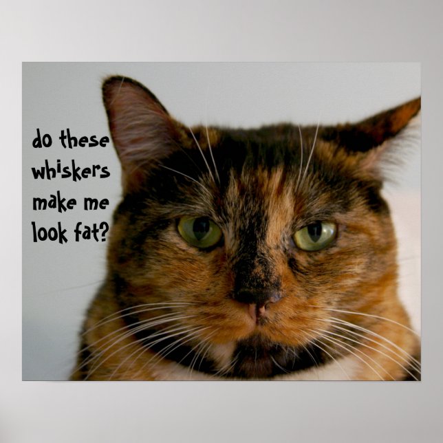 Fat Cat with Attitude, funny cat poster (Front)