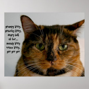 Fat Cat with Attitude, grumpy kitty song Poster