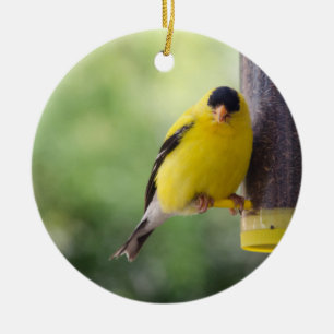 Fat Finch Ceramic Ornament