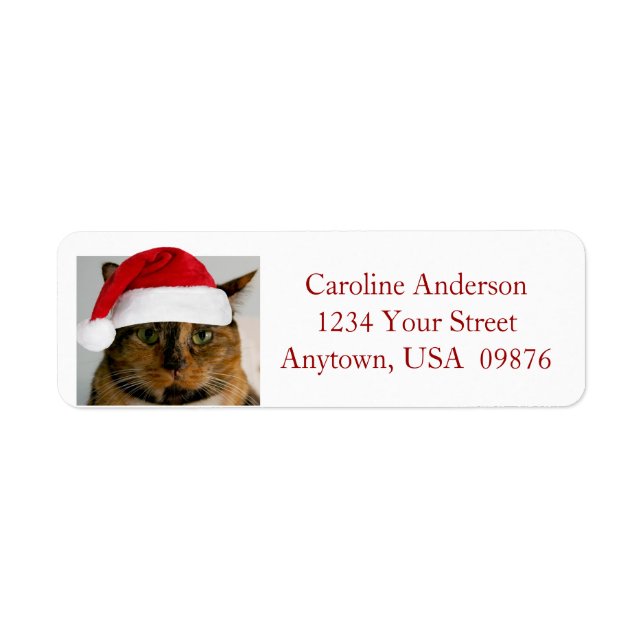 Fat Holiday Cat, Personalised Return Address Label (Front)