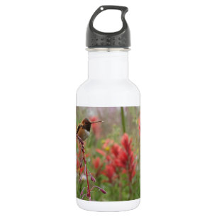 Fat little bird 532 ml water bottle