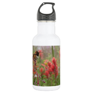 Fat little bird 532 ml water bottle