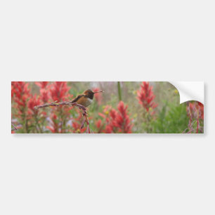 Fat little bird bumper sticker