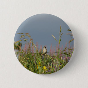 Fat little Hummingbird 6 Cm Round Badge
