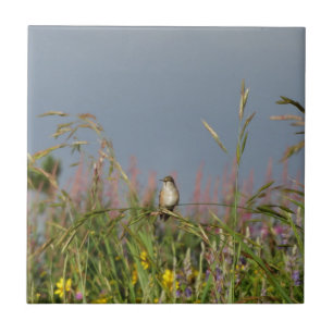 Fat little Hummingbird Ceramic Tile