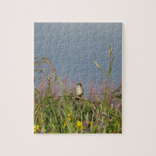 Fat little Hummingbird Jigsaw Puzzle