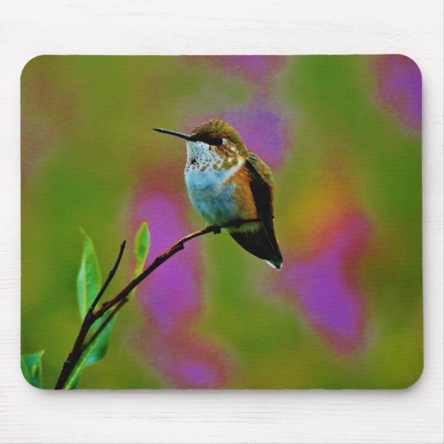Fat little Hummingbird Mouse Pad (Front)