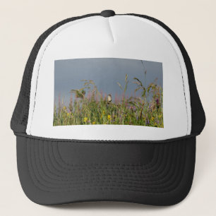 Fat little Hummingbird Trucker Hat