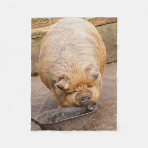 Fat pig fleece blanket