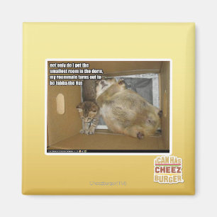 Fat roommate magnet