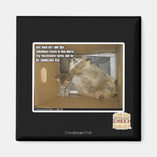 Fat roommate magnet