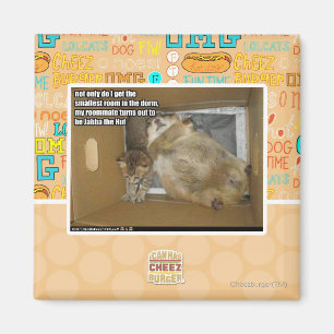 Fat roommate magnet