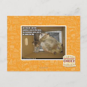 Fat roommate postcard