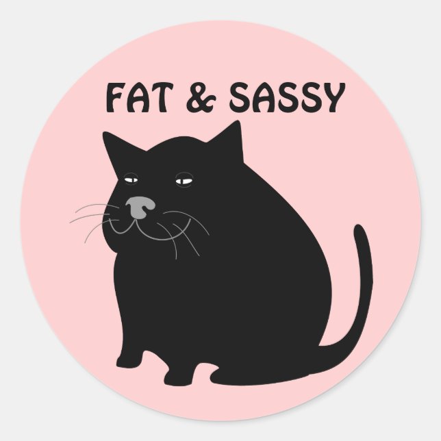 Fat & Sassy Cat Stickers (Front)