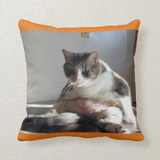 Fat Tabby Cat Photo on Pillow