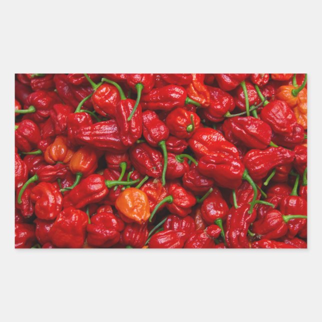 Fatalii's Chile Peppers 2 Rectangular Sticker (Front)