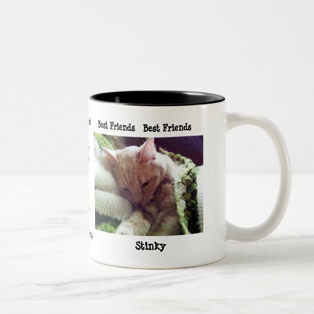 Fatboy and Stinky "Best Friends" Mug (Right)