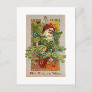 Father Christmas with Decorated Tree & Star Postcard