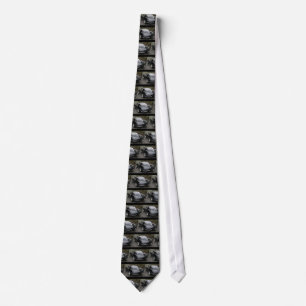 Father's Day Black Corvette Split Window Tie