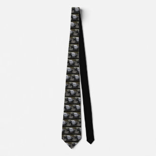 Father's Day Black Corvette Split Window Tie