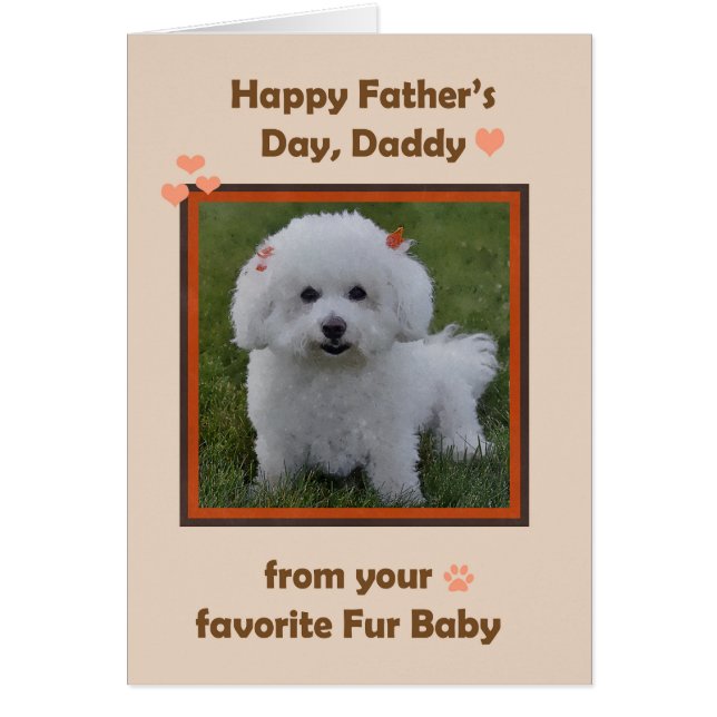 Fathers Day Daddy from Bichon with photo Frame (Front)
