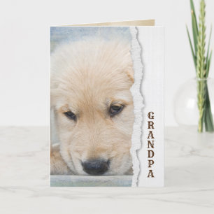 Father's Day golden retriever puppy for Grandpa Card