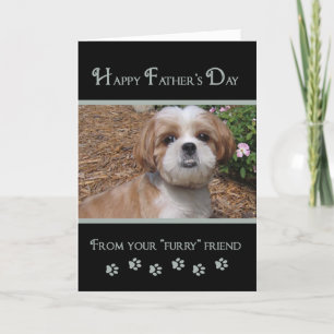 Father's Day  - Photo Card From Furry Friends