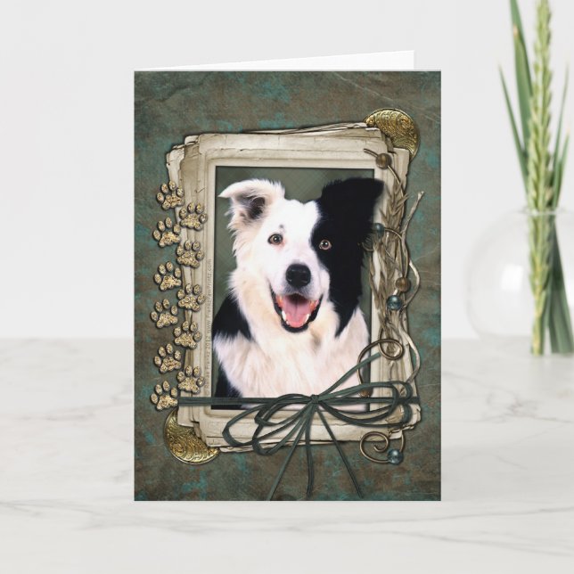 Fathers Day - Stone Paws - Border Collie Card (Front)