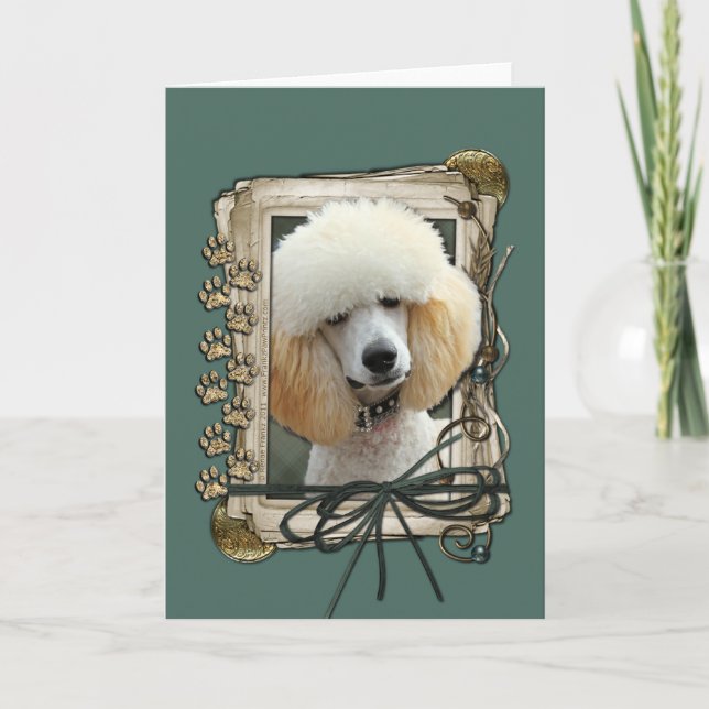 Fathers Day - Stone Paws - Poodle - Apricot Card (Front)
