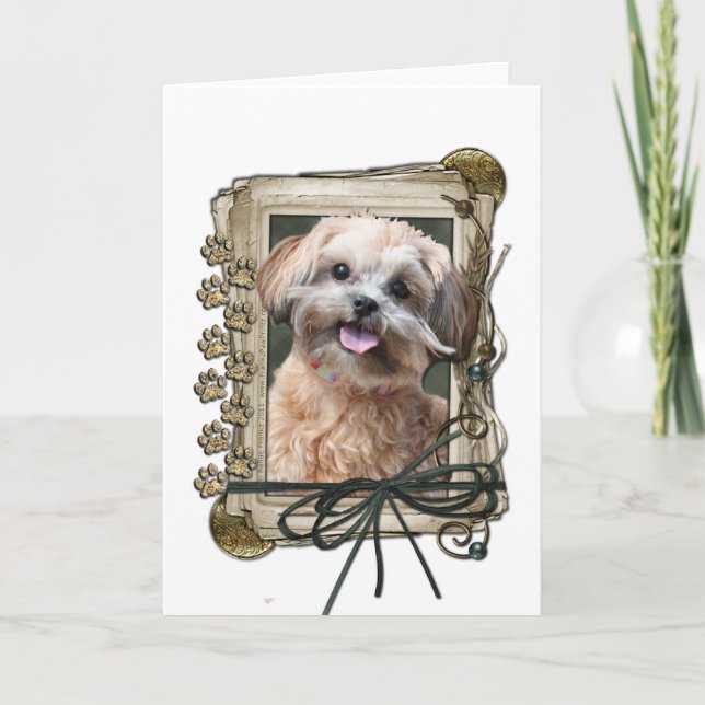 Fathers Day - Stone Paws - ShihPoo - Maggie Card (Front)