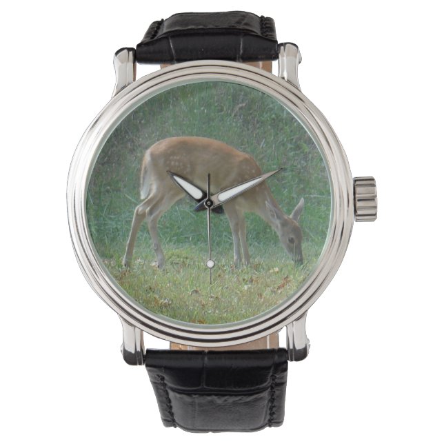 faun, baby deer watch (Front)