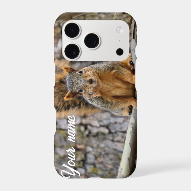 Faux fox squirrel (Back)