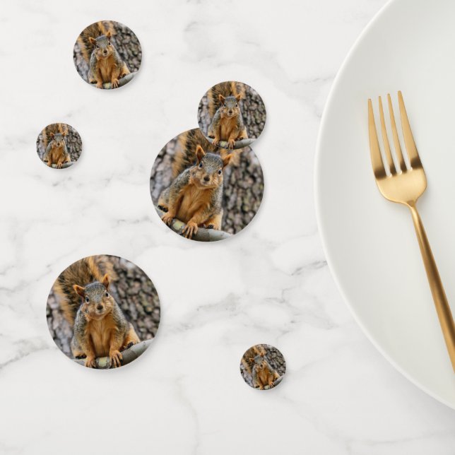 Faux fox squirrel confetti (Group)