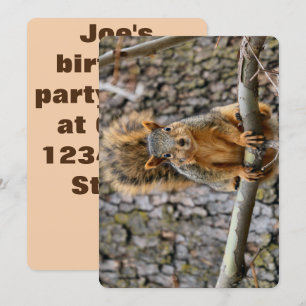 Faux fox squirrel invitation