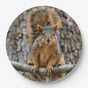 Faux fox squirrel paper plate