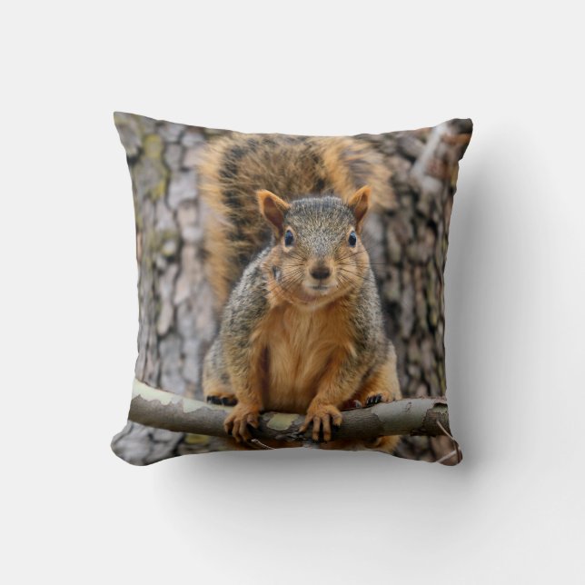 Faux fox squirrel pillow (Front)
